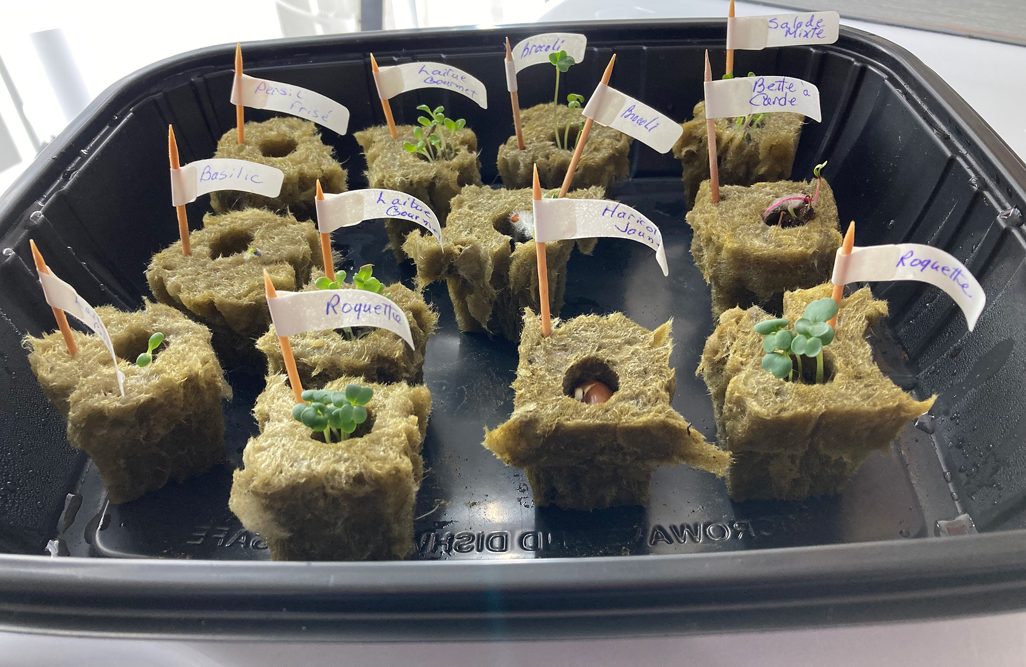 Garden Tower Technology Tour à jardin